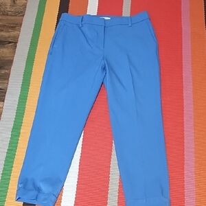 Loft Devin Slim Blue Pants With Cuffs And Faux Pockets NWOT 12.